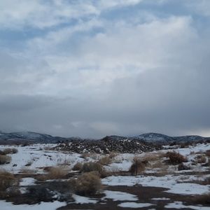 Meet your Posher, Debra